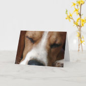 Sleeping Beagle Wenskaart Kaart (Gele Bloem)