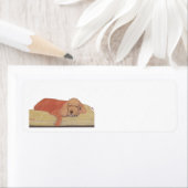 SLEEPING BEAUTY COCKER ETIKET (Insitu)