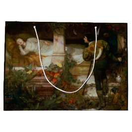 Sleeping Beauty (Loving Romantic Fairy Tale Scene) Groot Cadeauzakje