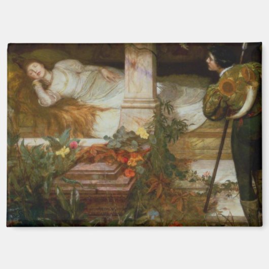 Sleeping Beauty (Pretty Princess Meets Her Prince) Magneet (Voorkant)