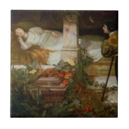 Sleeping Beauty (Sweet Princess From Fairy Tale) Tegeltje