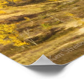 "SLEEPING BEER DUNES AGLOW MET GOLDEN VEGETATION" POSTER (Hoek)