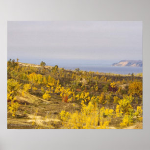 "SLEEPING BEER DUNES AGLOW MET GOLDEN VEGETATION" POSTER
