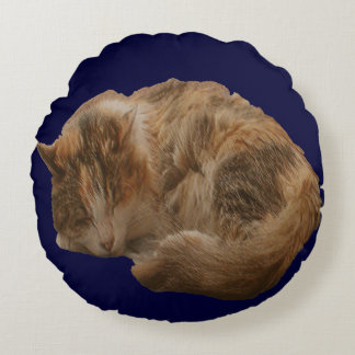 Sleeping Bengal Kitten Prank Pillow Rond Kussen