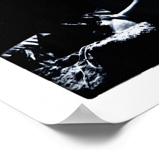 Sleeping Buddha & Awakening /Dharma Poster (Hoek)