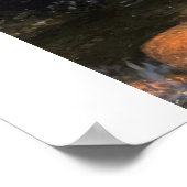 sleeping Buddha on water Poster (Hoek)