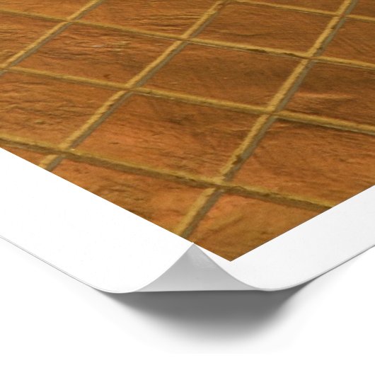 Sleeping Buddha-Poster Poster (Hoek)