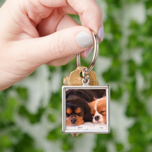 Sleeping Buddies Cavalier King Charles Sleutelhang Sleutelhanger (Hand)