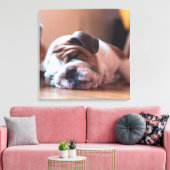 Sleeping Bulldog Bown and White Puppy Canvas Afdruk (Insitu (Woonkamer))