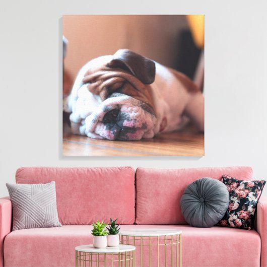 Sleeping Bulldog Bown and White Puppy Canvas Afdruk (Insitu (Woonkamer))