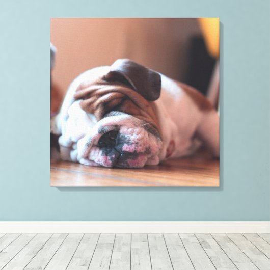 Sleeping Bulldog Bown and White Puppy Canvas Afdruk (Insitu (Houten vloer))