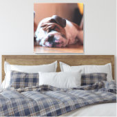 Sleeping Bulldog Bown and White Puppy Canvas Afdruk (Insitu (Slaapkamer))