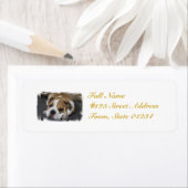 Sleeping Bulldog Mailing Labels (Insitu)
