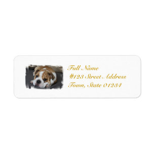 Sleeping Bulldog Mailing Labels