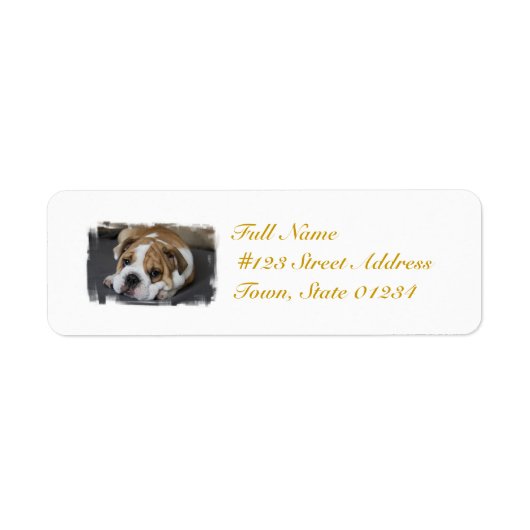 Sleeping Bulldog Mailing Labels (Voorkant)