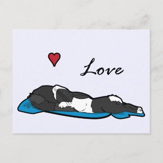 Sleeping Bunneh Briefkaart (Voorkant)