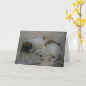 Sleeping Cat Blank Kaart (Gele Bloem)