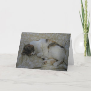 Sleeping Cat Blank Kaart