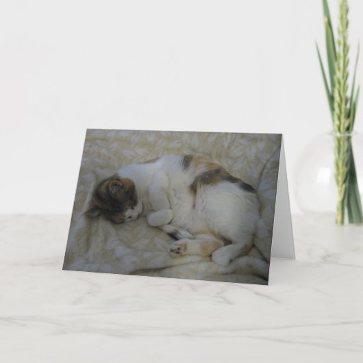 Sleeping Cat Blank Kaart (Voorkant)