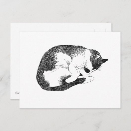 Sleeping Cat – Gentle Reminder to Rest Briefkaart (Voorkant / Achterkant)