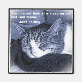 Sleeping cat magneet (Voorkant)