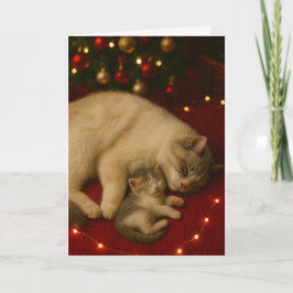 Sleeping Cats Christmas Folded Greeting Kaart