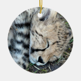 Sleeping Cheetah Cub Foto Keramisch Ornament