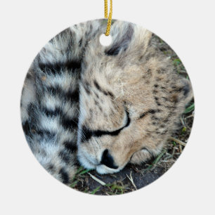 Sleeping Cheetah Cub Foto Keramisch Ornament