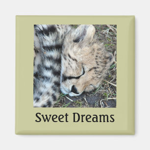 Sleeping Cheetah Cub Foto Magneet