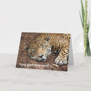 Sleeping Cheetah, grappige pensioenkaart Kaart