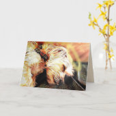 Sleeping Cherub Blank Wenskaart Kaart (Gele Bloem)