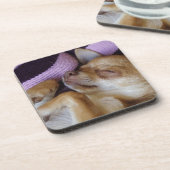 Sleeping Chihuahua Drankjes Onderzetter (Linkerzijde)