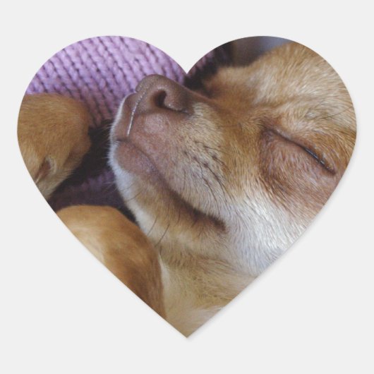 Sleeping Chihuahua Hart Sticker (Voorkant)