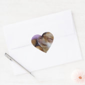 Sleeping Chihuahua Hart Sticker (Envelop)