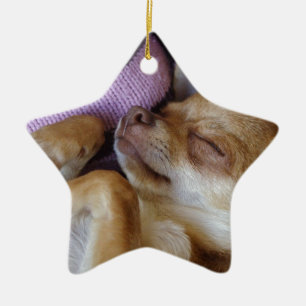 Sleeping Chihuahua Keramisch Ornament
