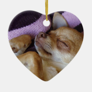 Sleeping Chihuahua Keramisch Ornament