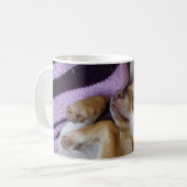 Sleeping Chihuahua Koffiemok (Voorkant links)