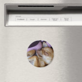 Sleeping Chihuahua Magneet (Insitu (Vaatwasser))
