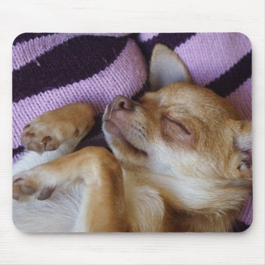 Sleeping Chihuahua Muismat (Voorkant)