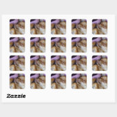 Sleeping Chihuahua Vierkante Sticker (Vel)