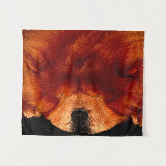 Sleeping Chow Chow Cwata Wandkleed (Voorkant (horizontaal))