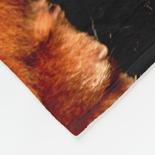 Sleeping Chow Chow fbcnm Fleece Deken (Hoek)