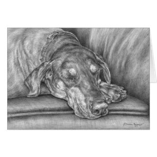 Sleeping Doberman Dog Tekening door Kelli Swan