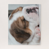 Sleeping English Bulldog Puppy Legpuzzel (Verticaal)