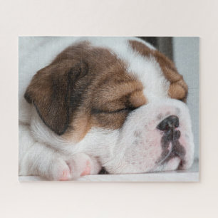 Sleeping English Bulldog Puppy Legpuzzel