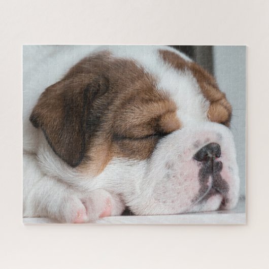 Sleeping English Bulldog Puppy Legpuzzel (Horizontaal)