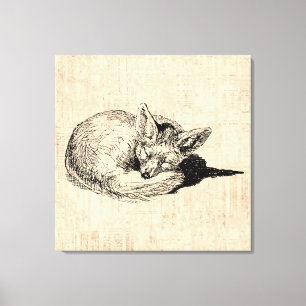 Sleeping Fox geïllustreerd Art Cute  Animal Canvas Afdruk