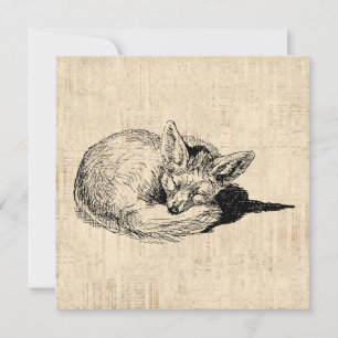 Sleeping Fox geïllustreerd Art Cute  Animal Kaart