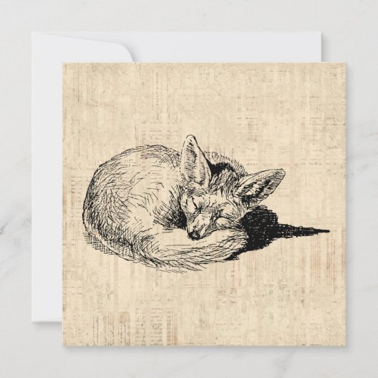 Sleeping Fox geïllustreerd Art Cute  Animal Kaart (Voorkant)