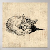 Sleeping Fox geïllustreerd Art Cute  Animal Poster (Voorkant)